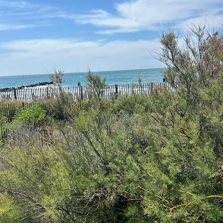 111 Acces Direct 3min De La Mer,2 Places De Parking Gratuite, Terrasse Lägenhet